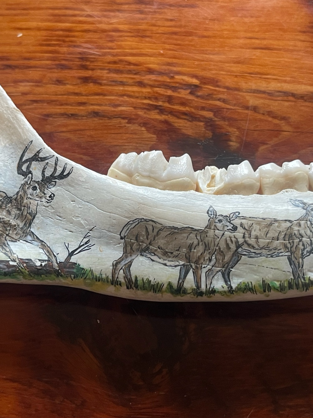 Hand-Painted White Deer Jawbone Wall Art - Picture 2 of 3
